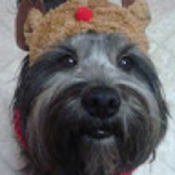 Meet your Posher, Meaghan - Picture 1 of 1